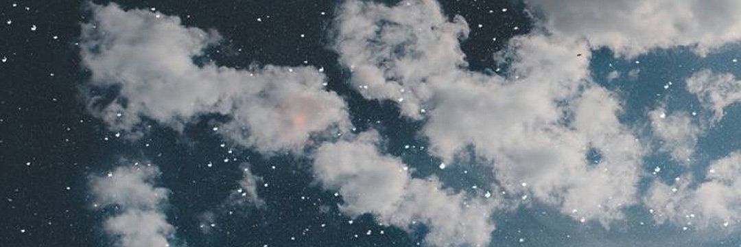 caroldl17's profile banner image
