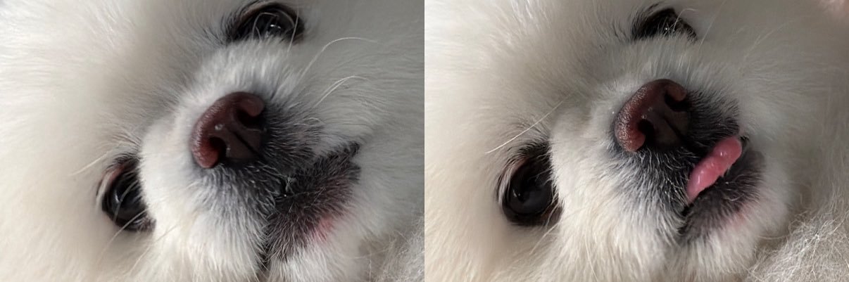 chs || jastip korea🇰🇷 banner