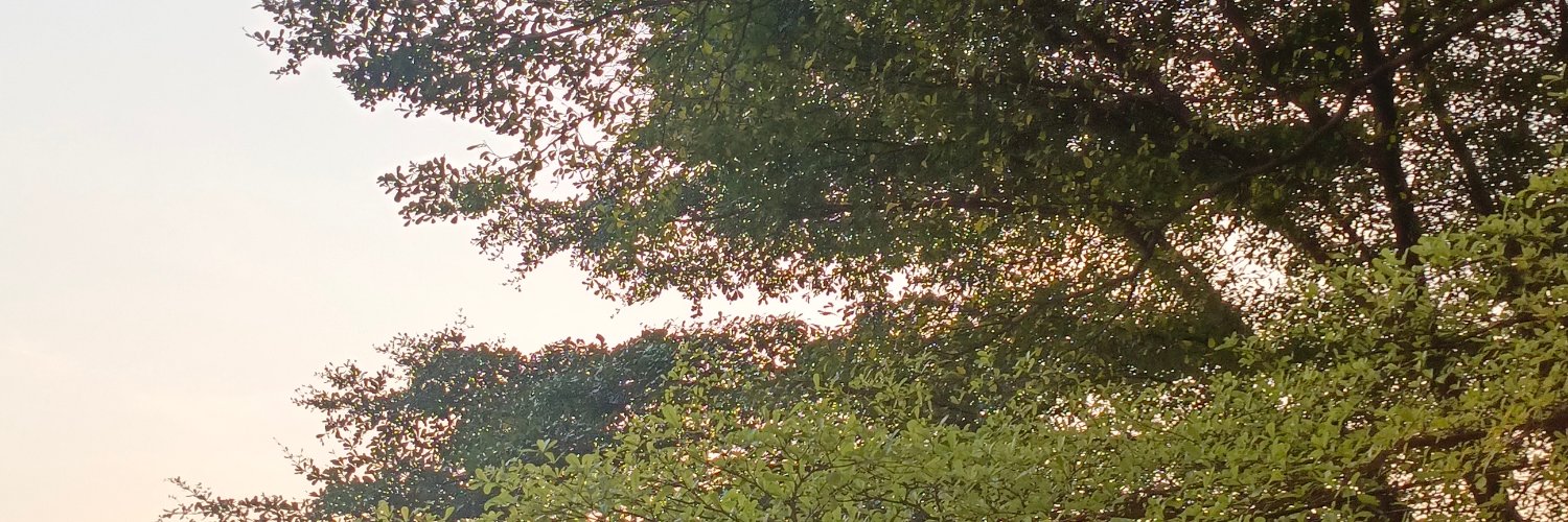 🗑️ banner
