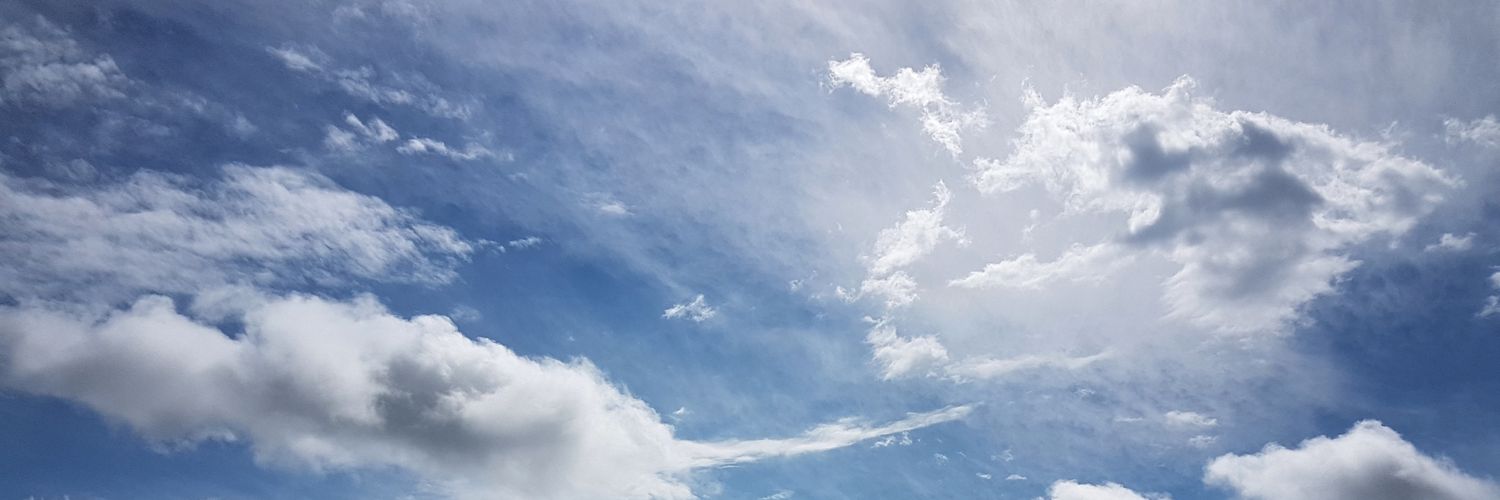 aidaishay's profile banner image