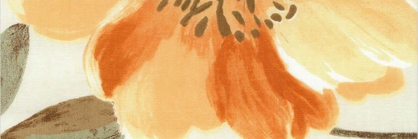soobachi's profile banner image