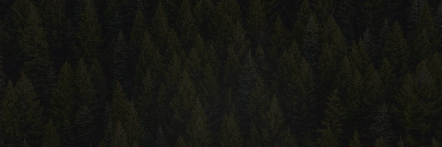 Morten Reenberg banner