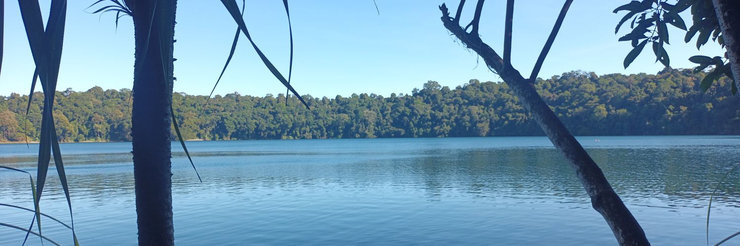 Reece Pickens banner