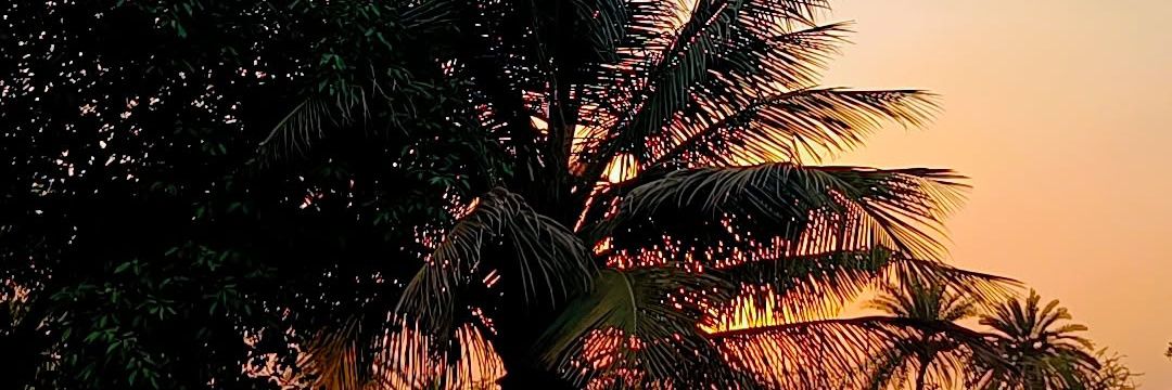 SatishsolankiS2's profile banner image