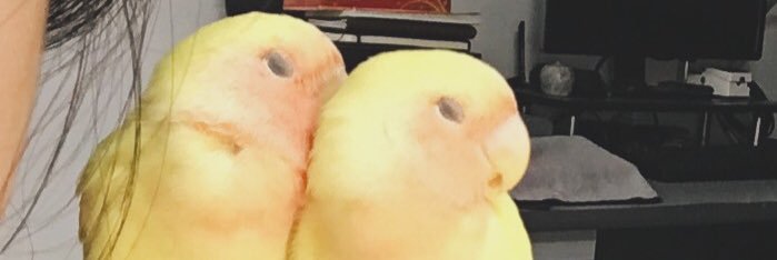 DoubleOXM's profile banner image