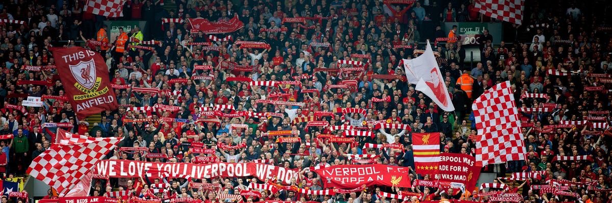 𝗔𝗹𝗶 🇶🇦 banner