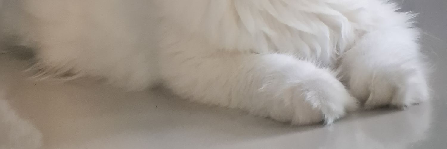 ppmail's profile banner image