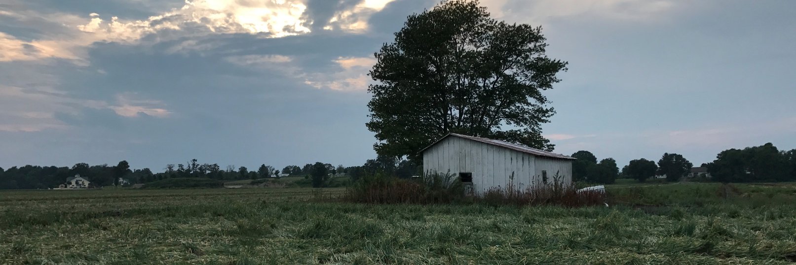 ssoproducefarms's profile banner image