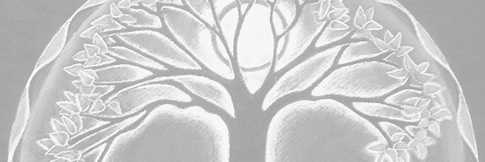 DawsonFercho's profile banner image
