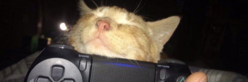 bobbalee82's profile banner image