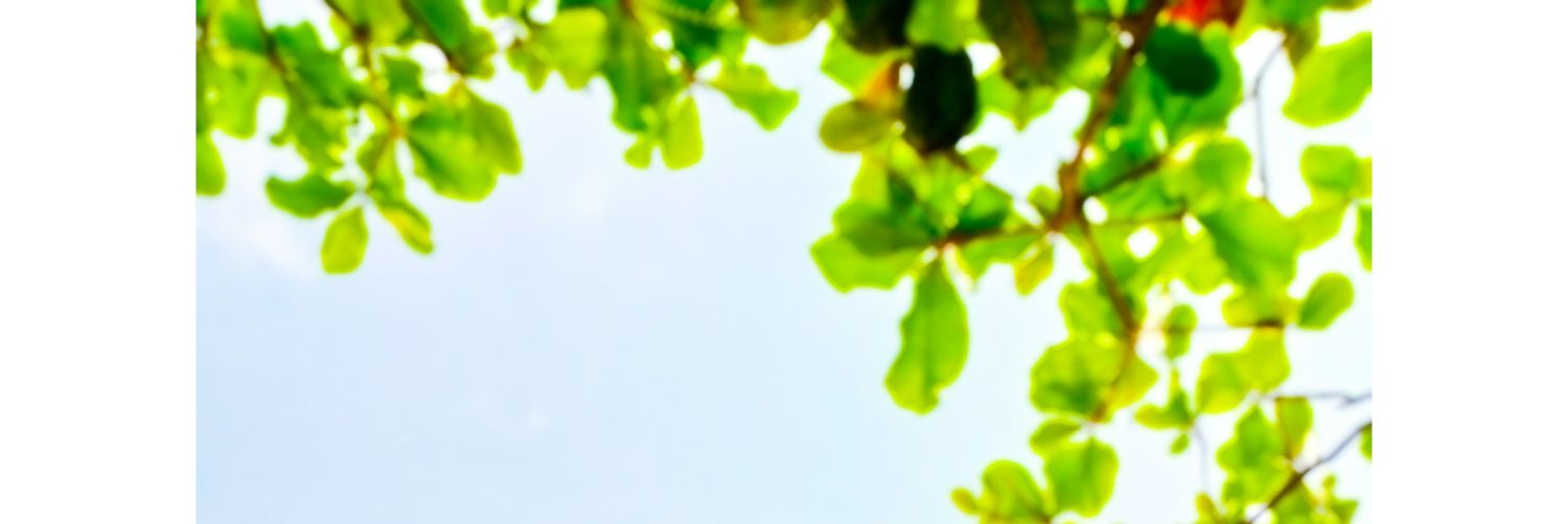 Deekshith P Poojary banner