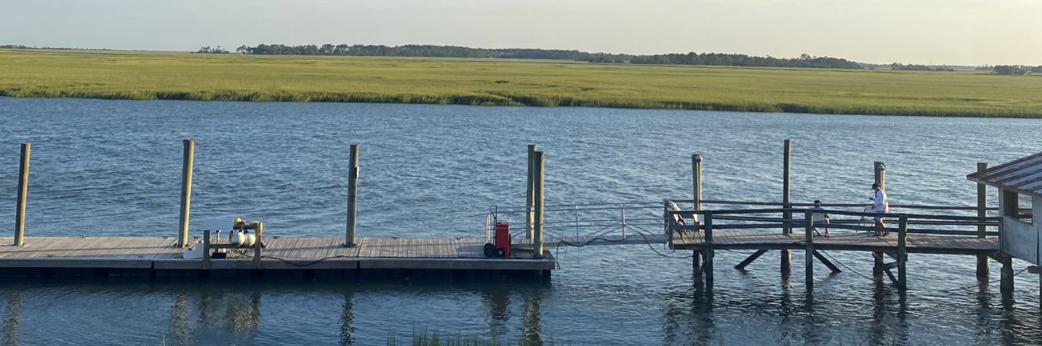 southern exhibitionist banner