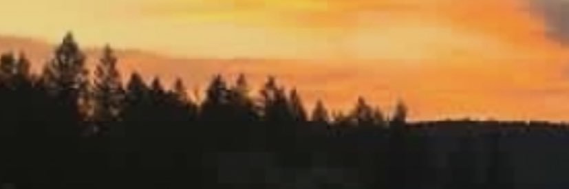 Matt_Carl's profile banner image
