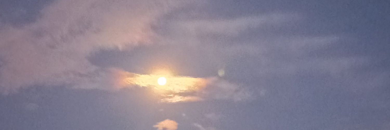 . banner