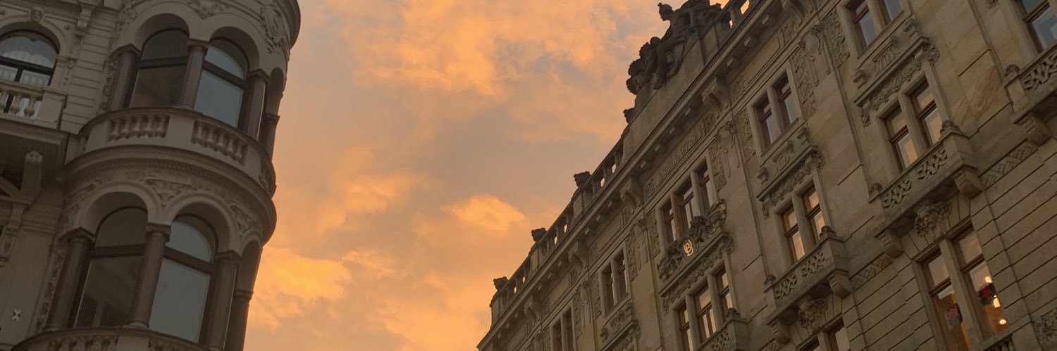 rous ☭ 💚🤍💚 banner