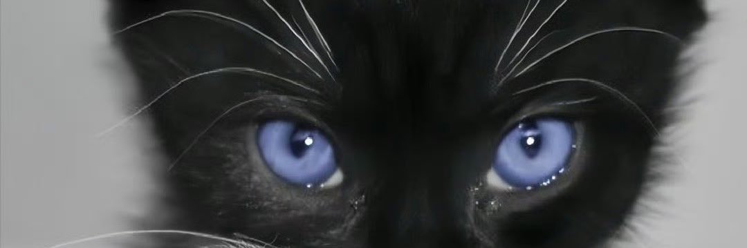 炼乳烤芝士 banner