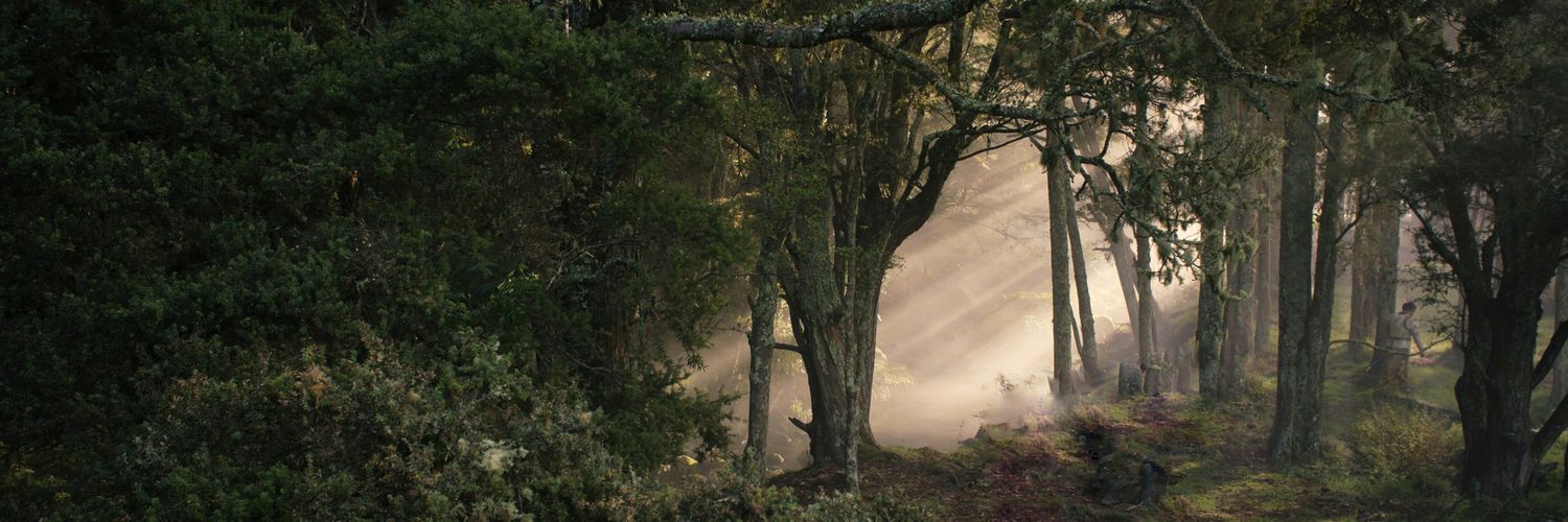 Hutanmati's profile banner image