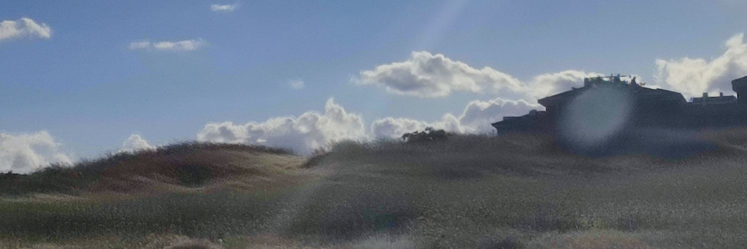 DoHLands's profile banner image