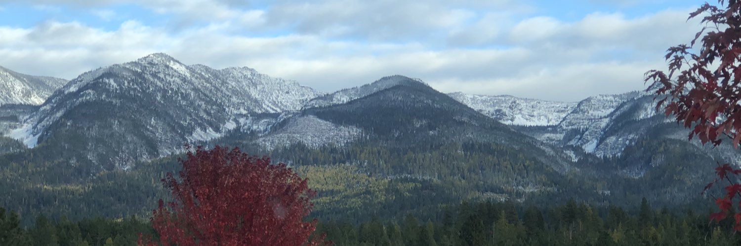 Chasing Rainbows banner