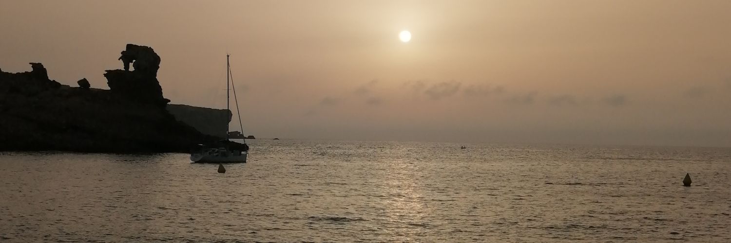Xavi Seguí banner