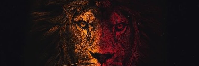 Aslangunde_mi's profile banner image