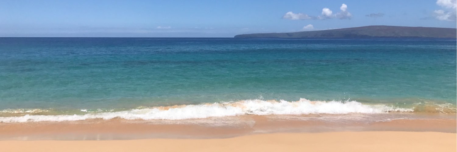 Tiffany Schaar banner