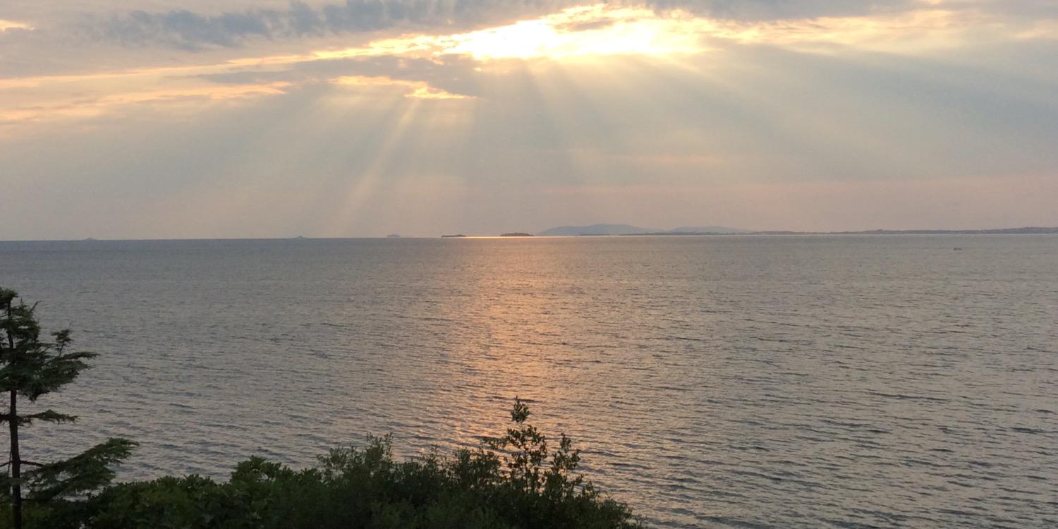 lale_tuncay's profile banner image