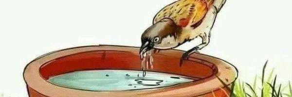 JAV8869 Profile Banner