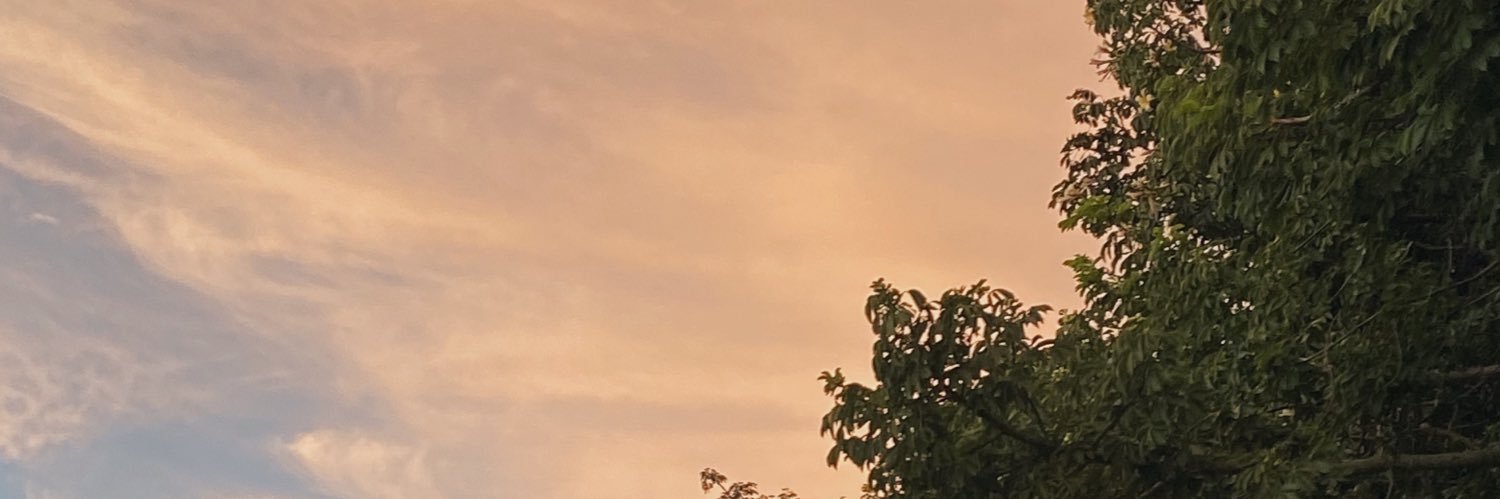 saramazzon1's profile banner image