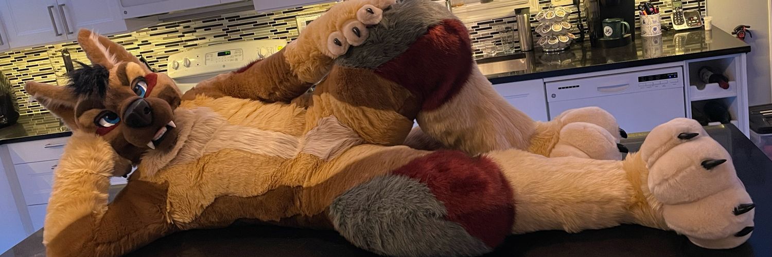Big Shep banner