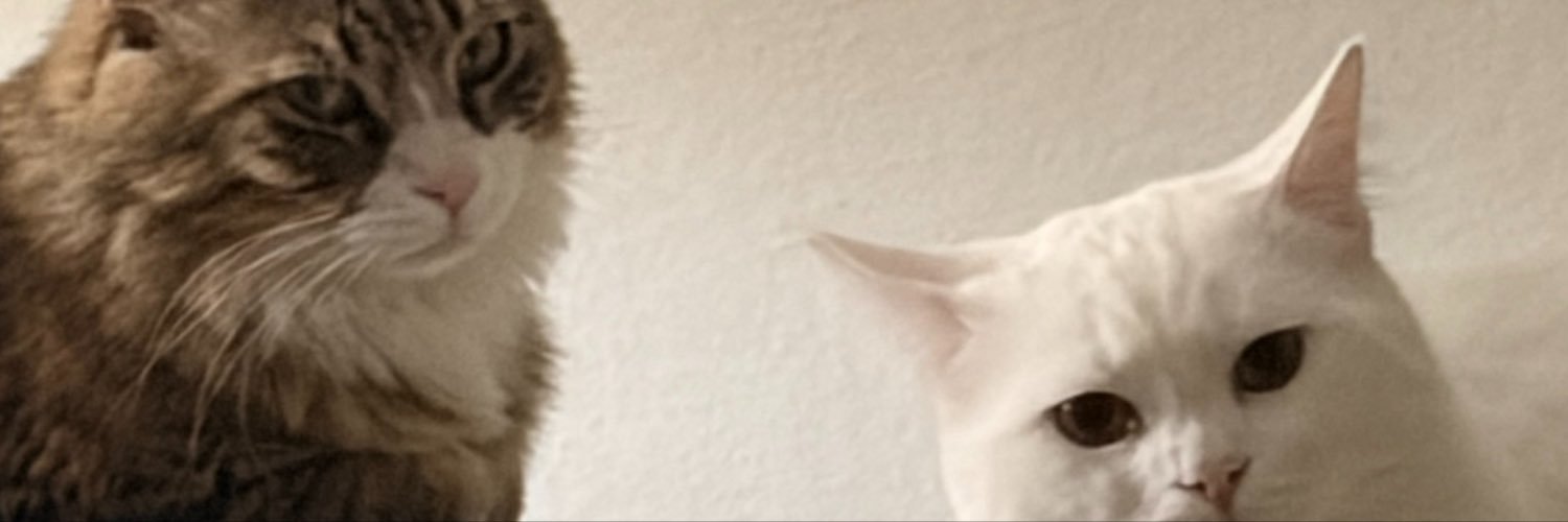 tepelerdaglar's profile banner image