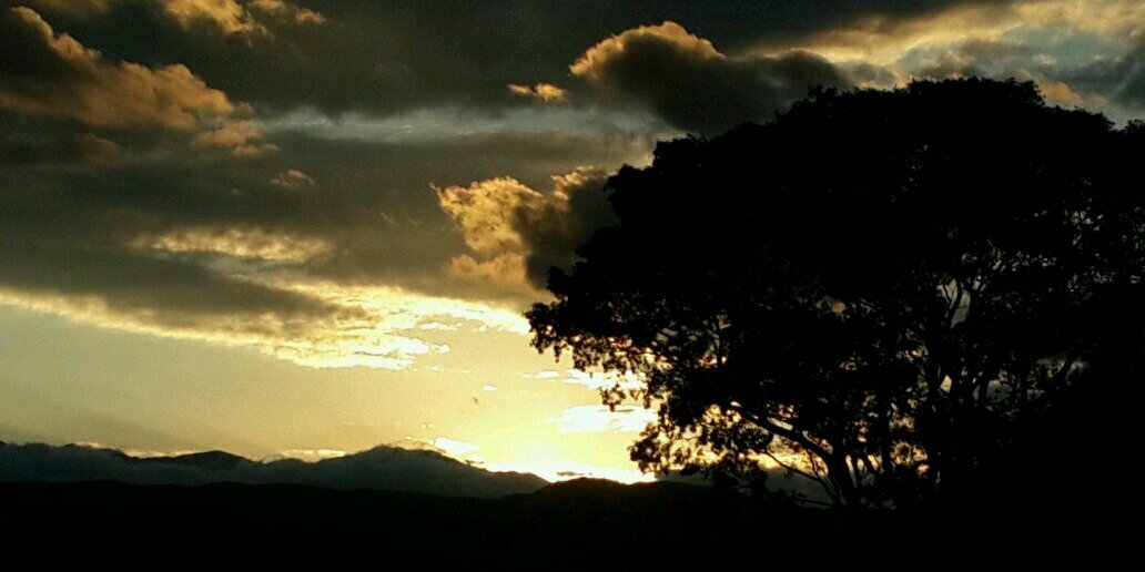 juliboero's profile banner image