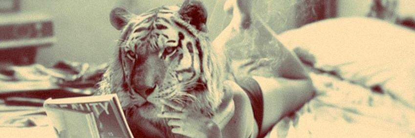 meggee11's profile banner image