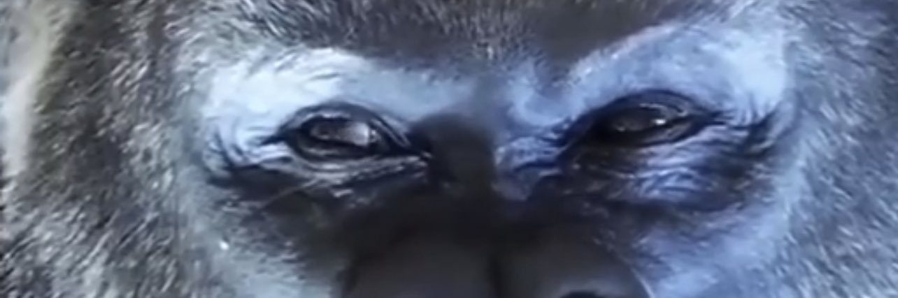 Silverbac77's profile banner image