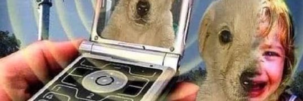 yurkiiee Profile Banner