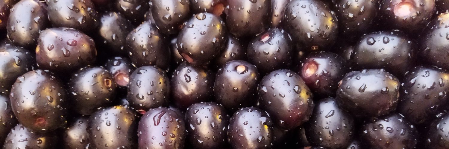 Anarkali 🍇 banner