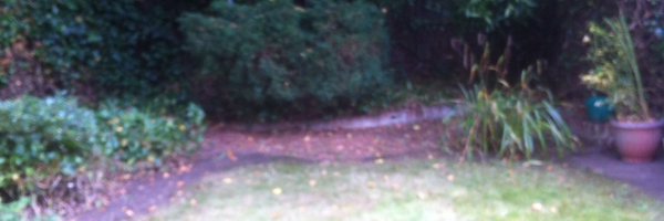 Heather_pw Profile Banner