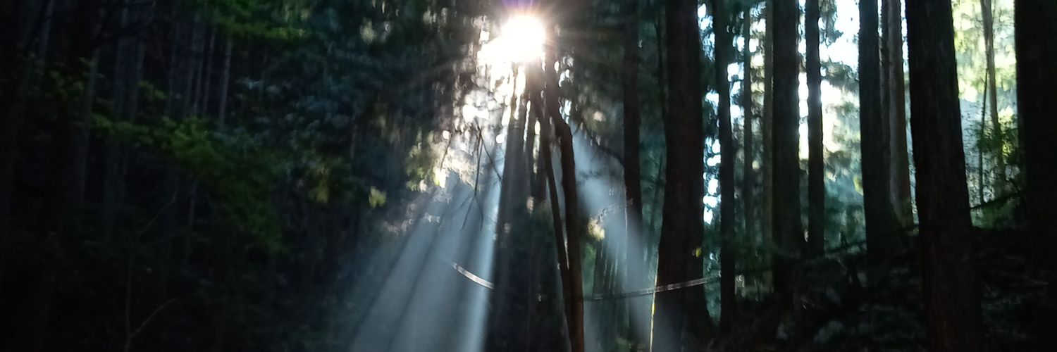 yatanekarasu's profile banner image