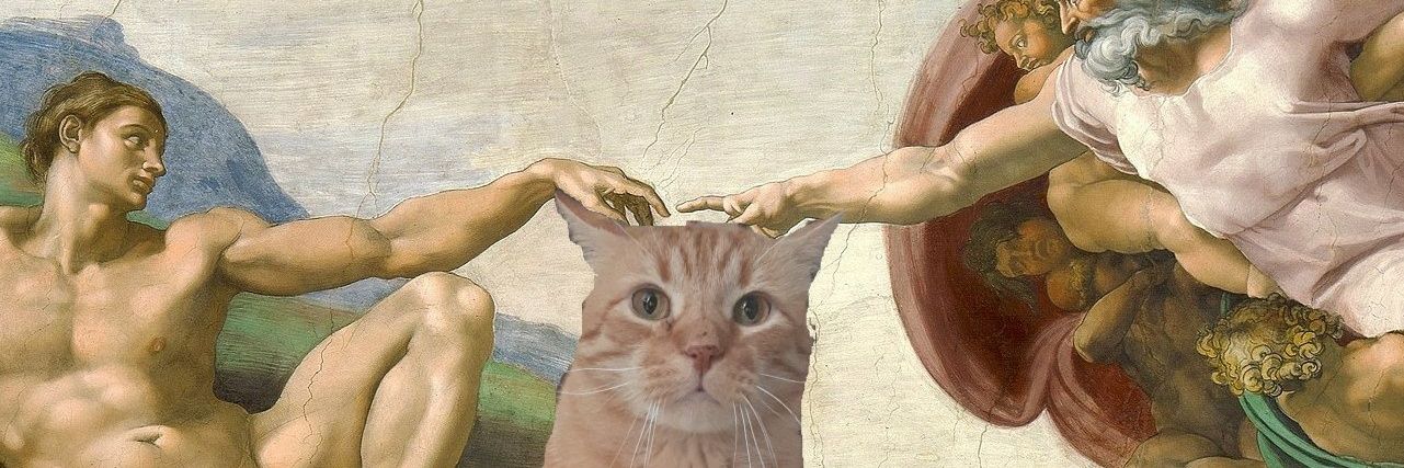 ₊✮rira✮₊ banner