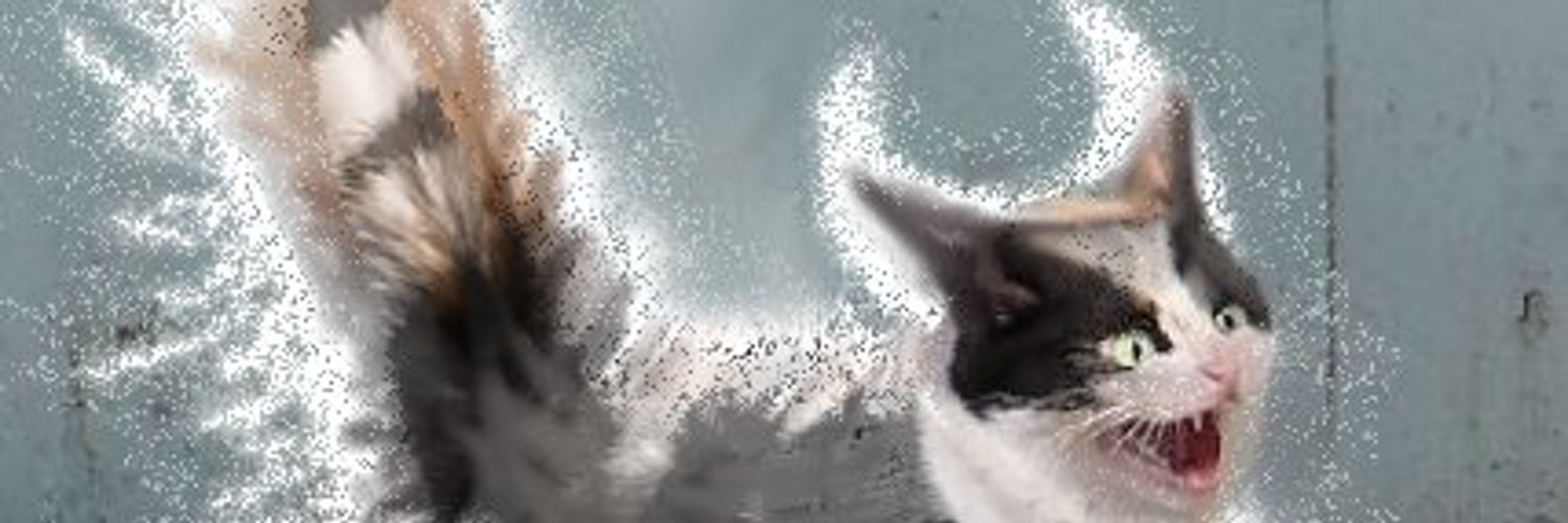 D_S_Y_C's profile banner image