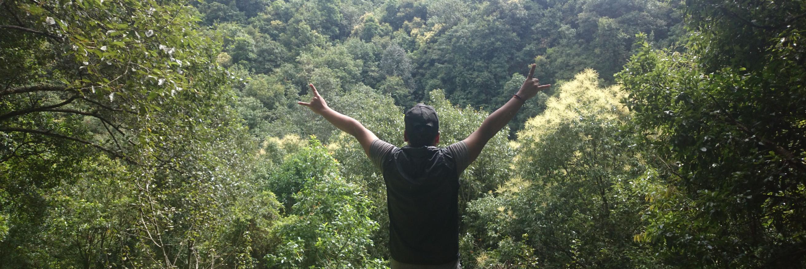 CodingFr3ak's profile banner image