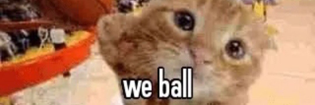 3Pufferfish's profile banner image