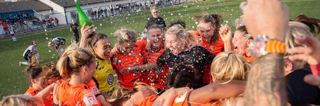 Kungsbacka DFF banner