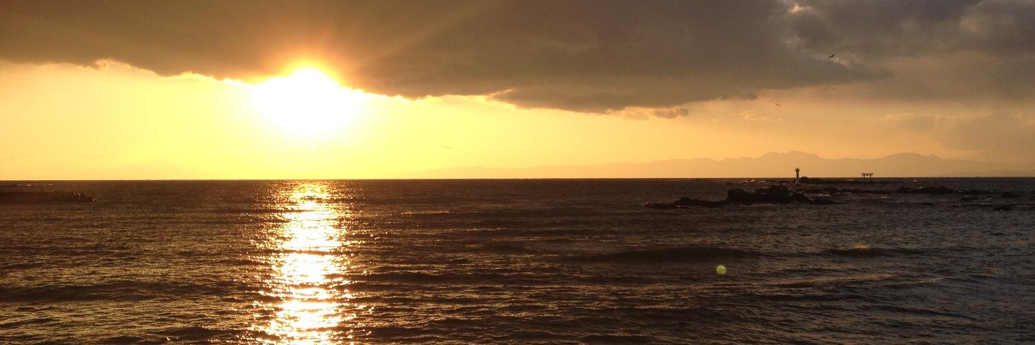 dolphin_42's profile banner image