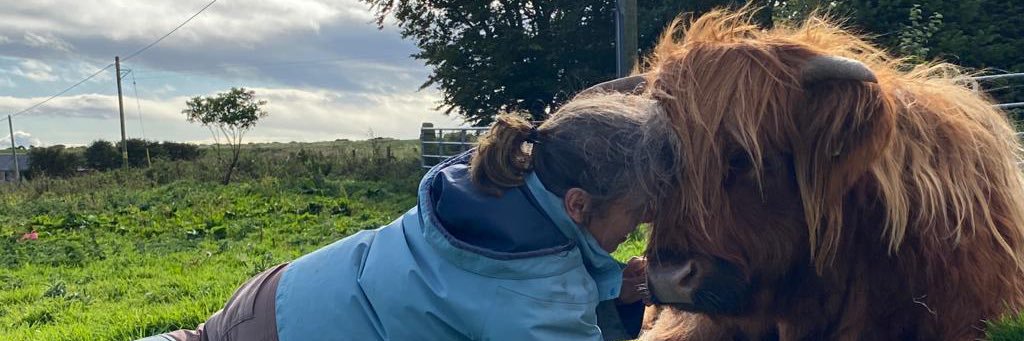 LisaChilton's profile banner image