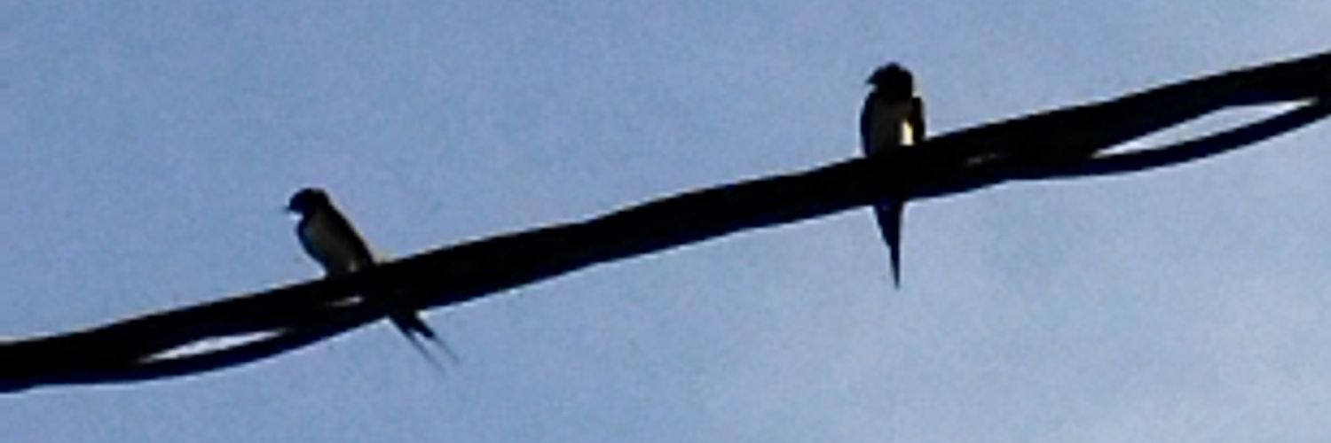 ft85764960's profile banner image