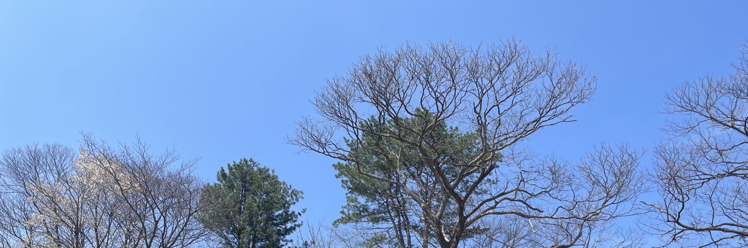 yonnie41's profile banner image