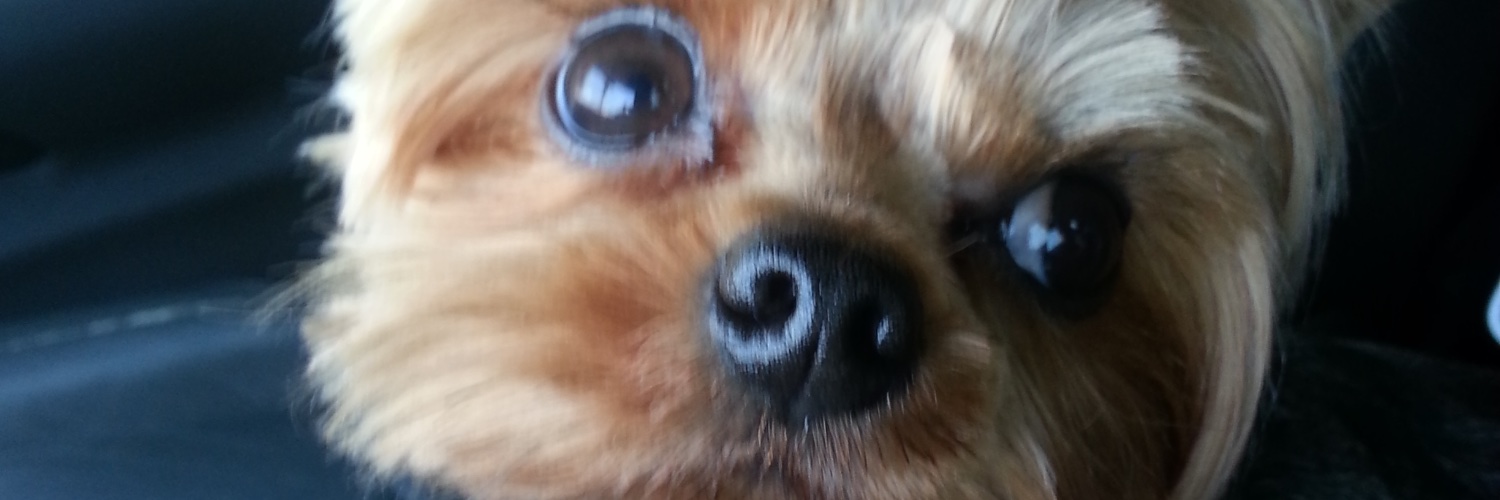 DHerm66's profile banner image