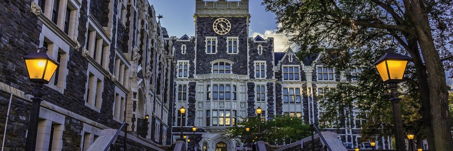 CCNY Women's Basketball banner