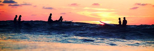 deliciousbuzz banner